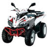 Sym Track Runner 200cc Fun Buggy hire in Agia Napa Cyprus