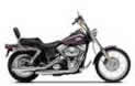 Dyna Harley Davidson motorbike for rent
