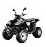 ATV Quad bike 300cc Viper for hire in Larnaca Cyprus